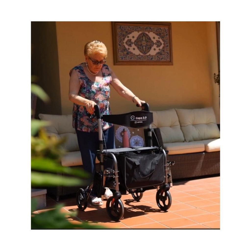 GAYA Rollstuhl & Rollator in 1 | MORETTI
