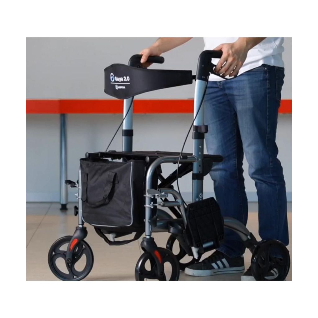 GAYA Rollstuhl & Rollator in 1 | MORETTI