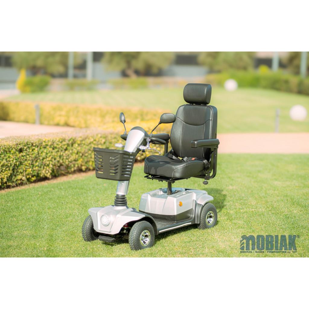 ARES Elektroroller | 12 km/h | 50 km | Luftreifen