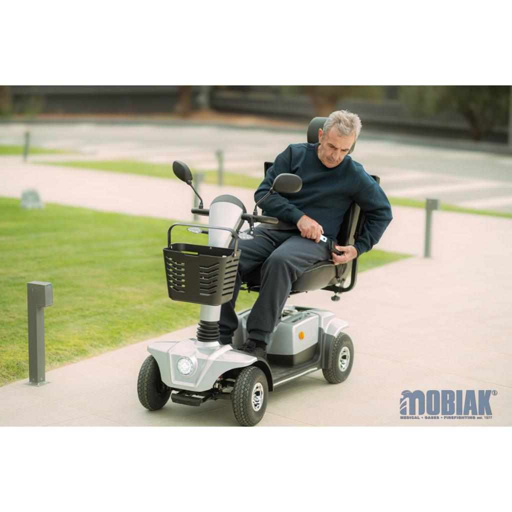 ARES Elektroroller | 12 km/h | 50 km | Luftreifen