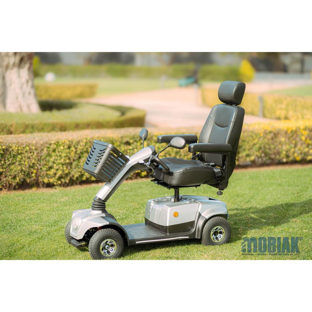 ARES Elektroscooter | 12 km/h | 50 km | Luftreifen